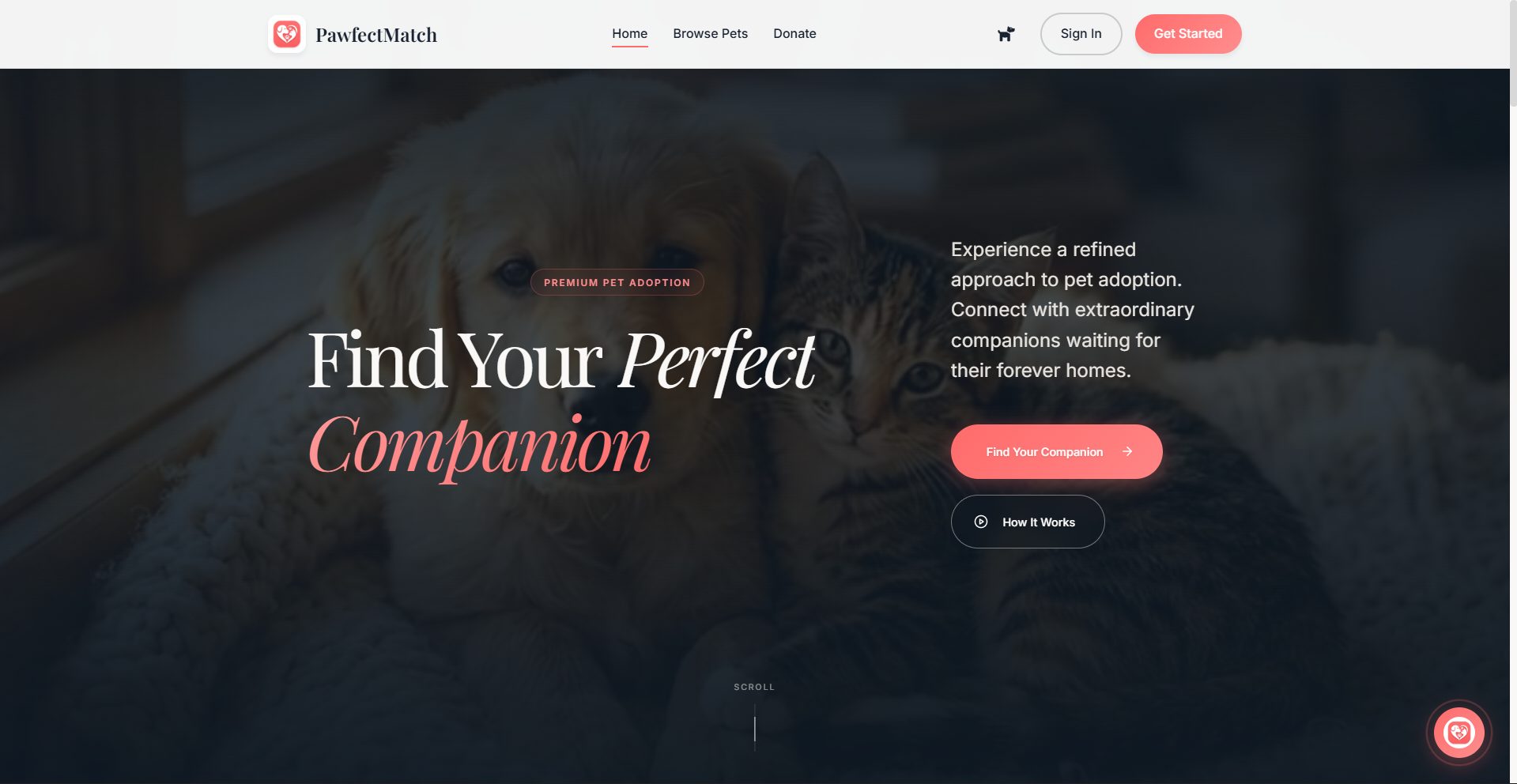 PawfectMatch - Pet Adoption Management System